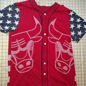 Rare Vintage NBA Bulls American Flag Jersey Shorts Set